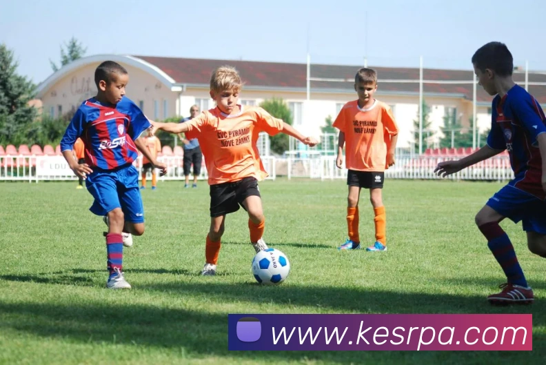 pa视讯服务体系